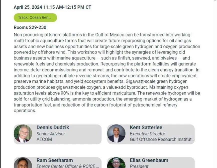 GORI in panel at IPF24 hosted by the Oceantic Network in New Orleans on April 25th